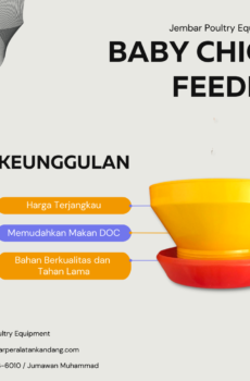 Baby Chick Feeder