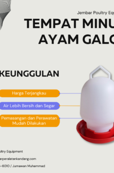Tempat Minum Ayam