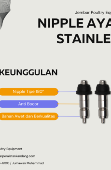 Nipple Ayam Stainless