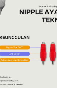 Nipple Ayam Tekno