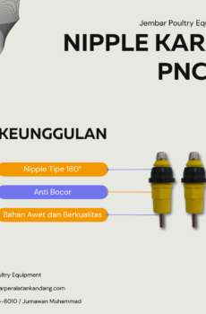 PNC01