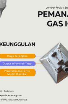 Pemanas Gas IGF