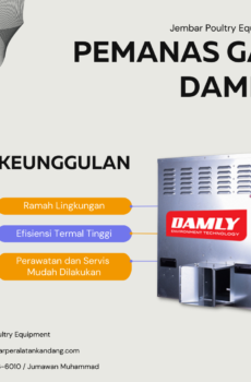 Pemanas gas Damly