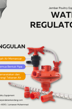 Regulator orange