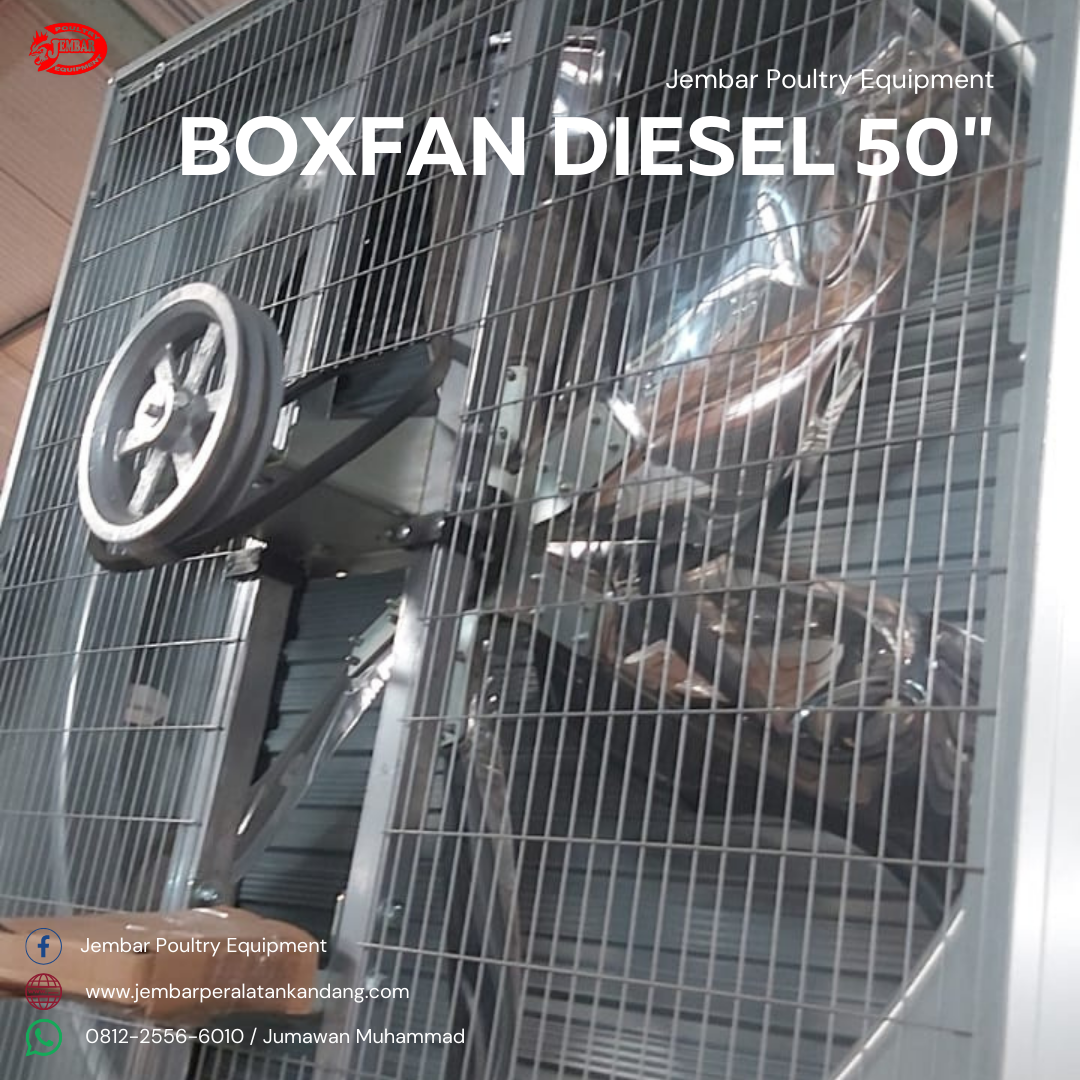 Boxfan diesel 50 (2)