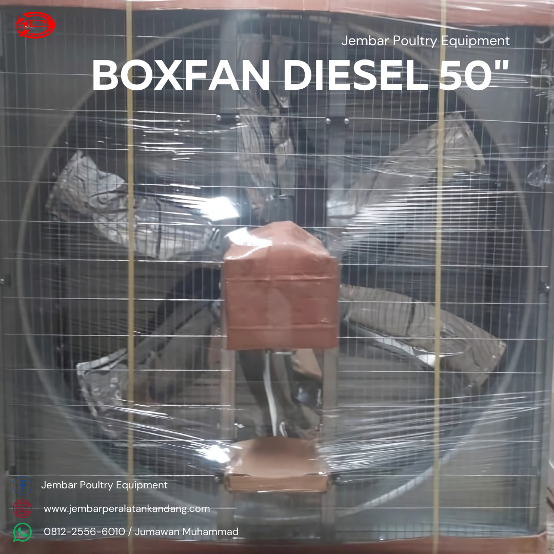 Boxfan diesel 50 (3)