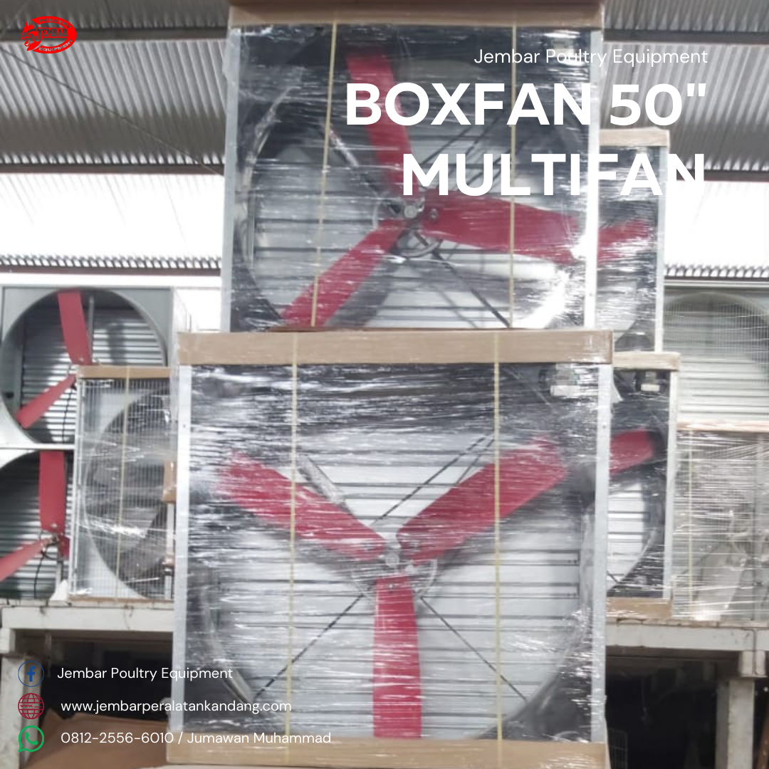 Boxfan multifan 50 (3)