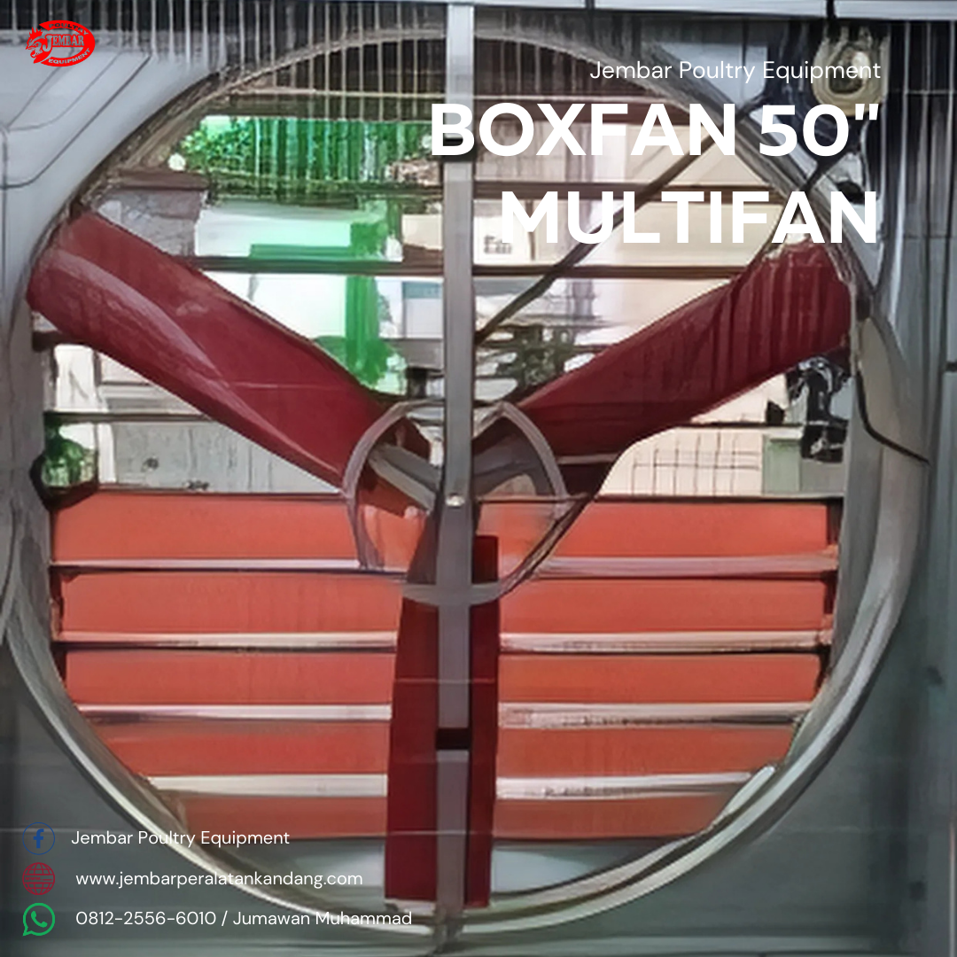 Boxfan multifan 50 (4)