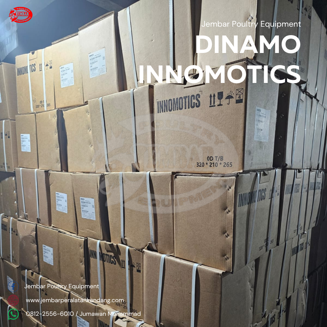 dinamo innomotics (2)