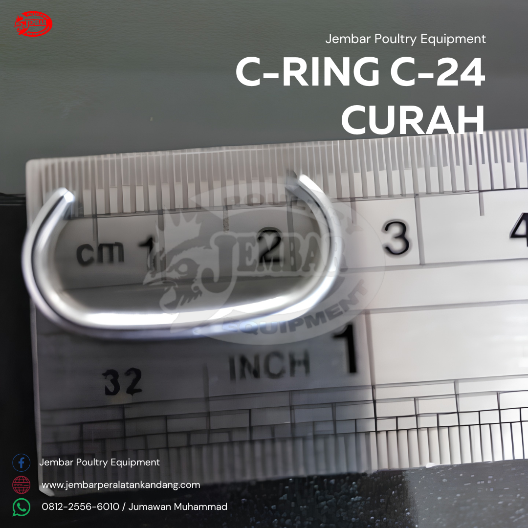 C-ring C-24 curah (2)