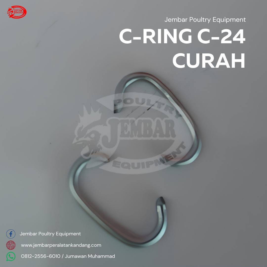 C-ring C-24 curah
