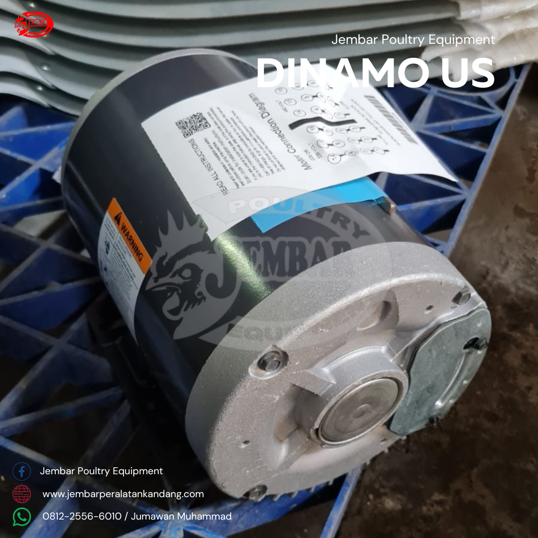 Dinamo us