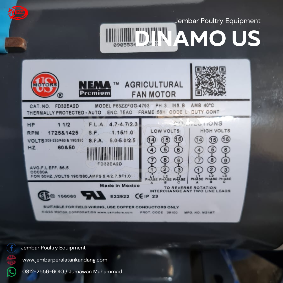 Dinamo us (2)