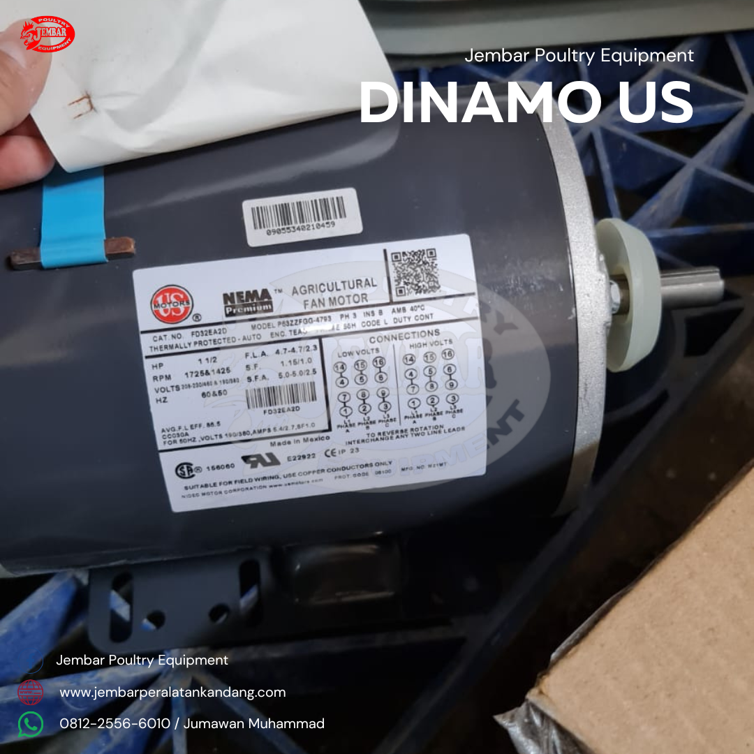 Dinamo us (3)