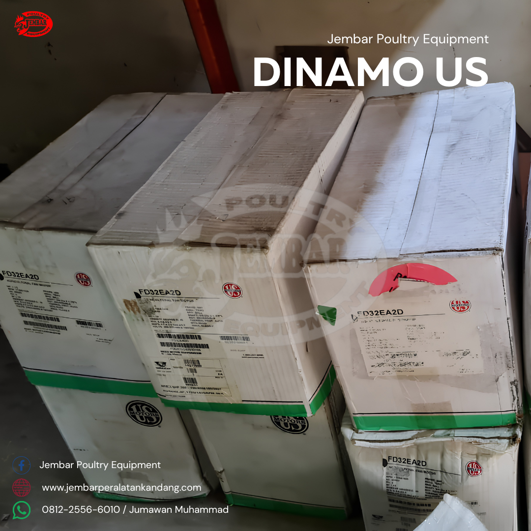 Dinamo us (4)