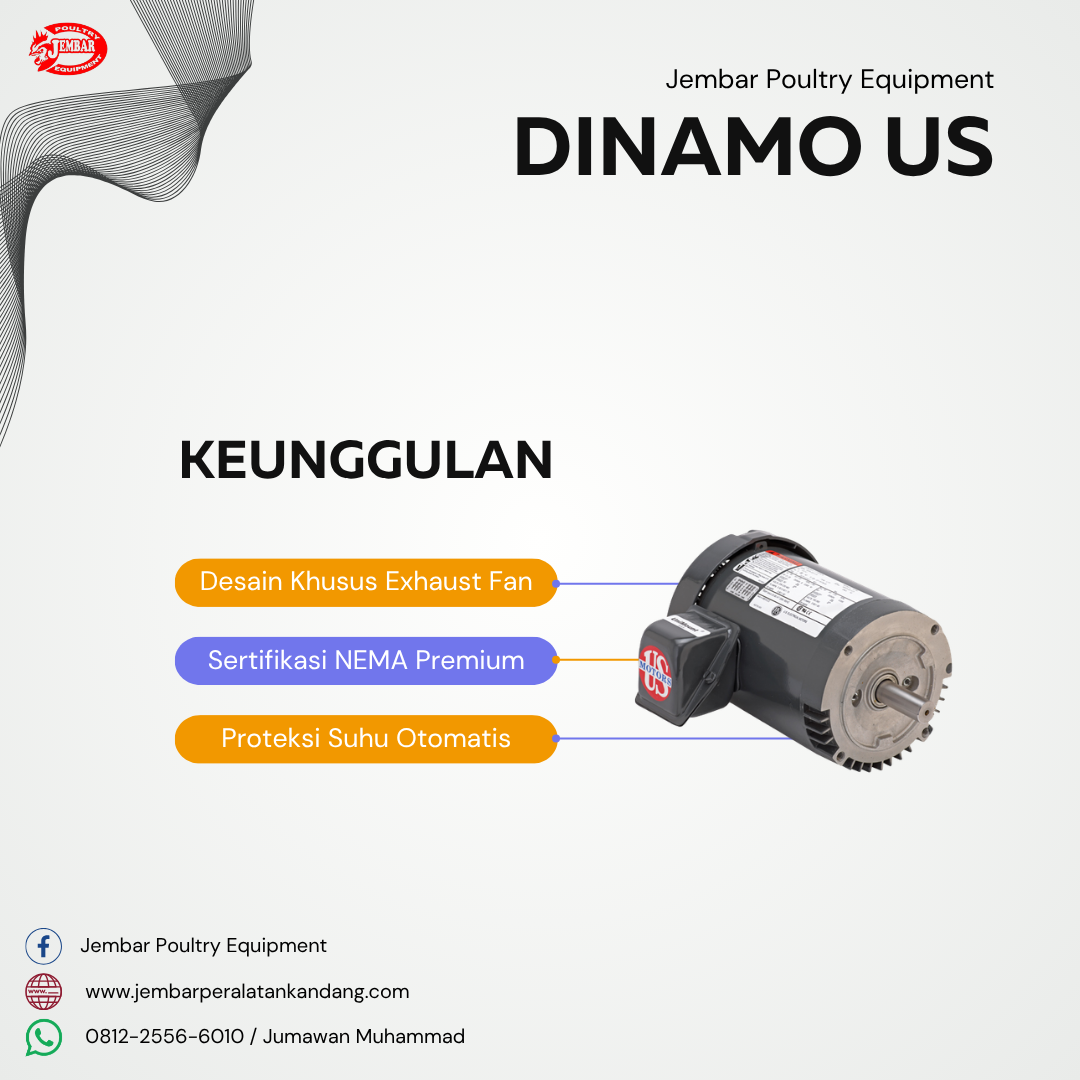 Dinamo us