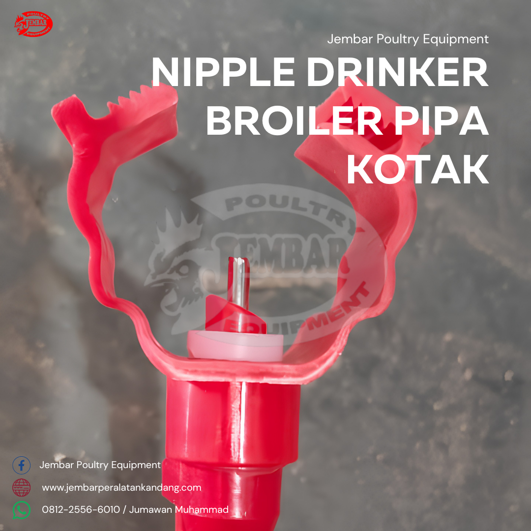 Nipple Drinker Broiler Pipa Kotak