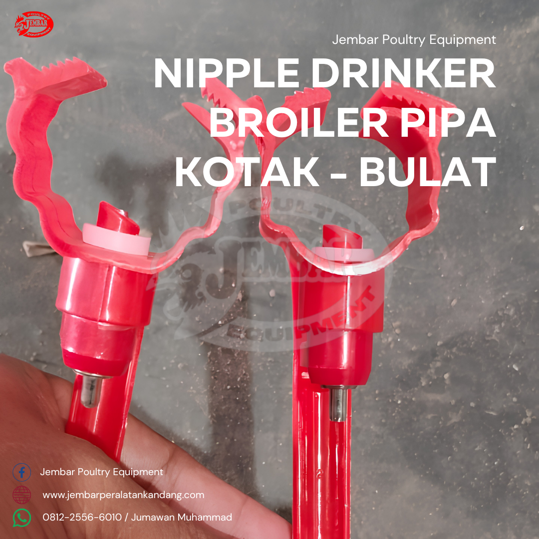 Nipple Drinker Broiler Pipa Kotak - bulat