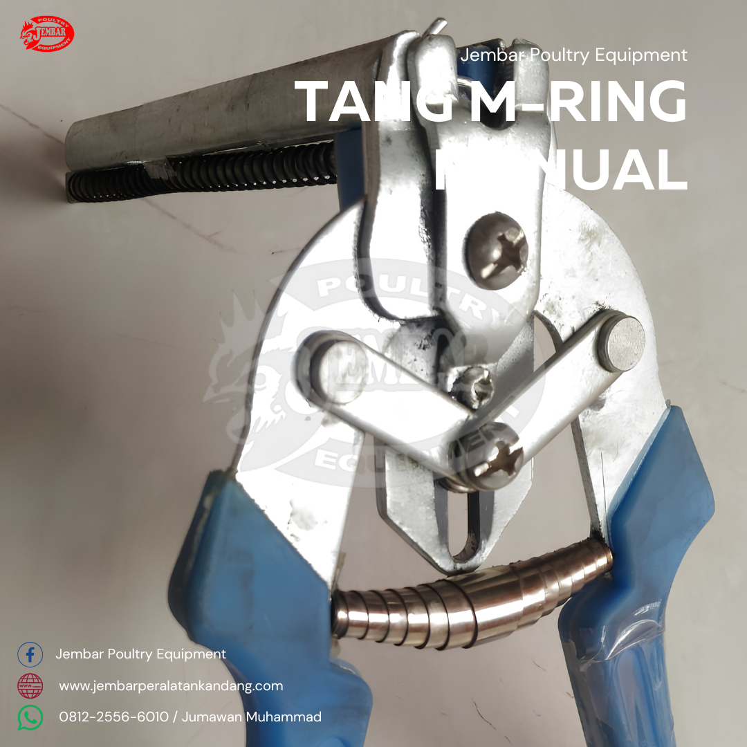 Tang M-Ring Manual