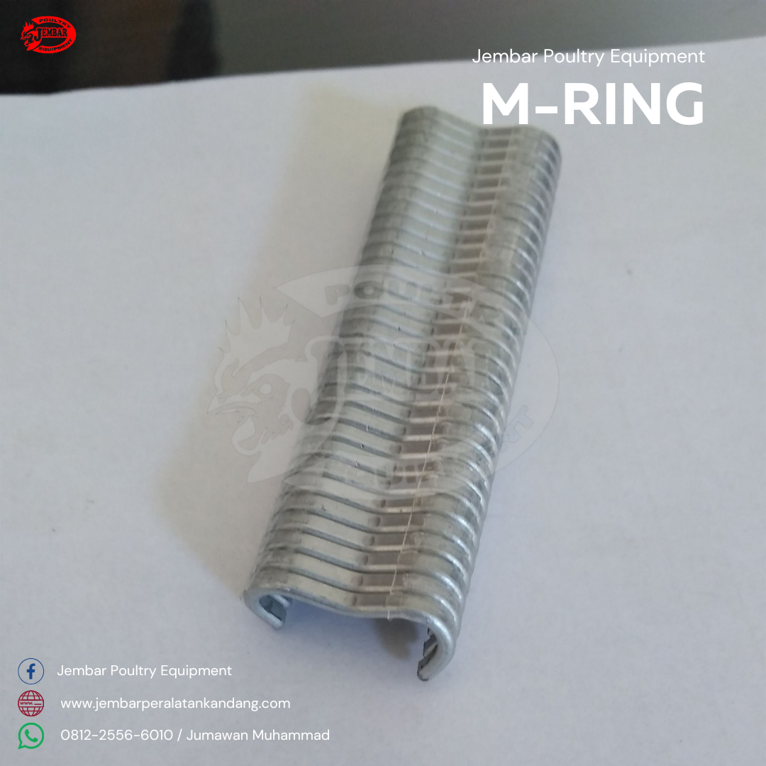 m-ring (2)