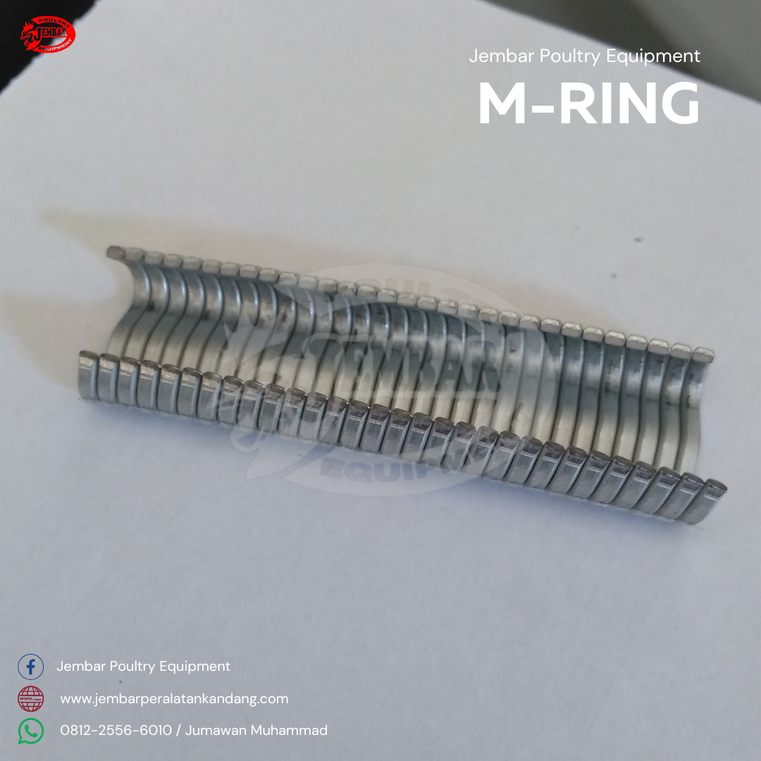 m-ring (3)