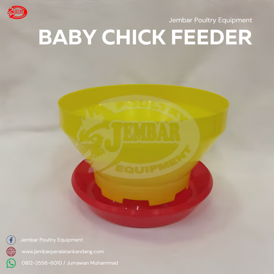 Baby Chick Feeder-1