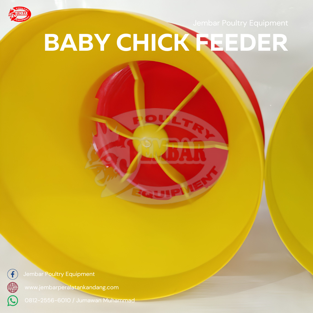 Baby Chick Feeder (2)