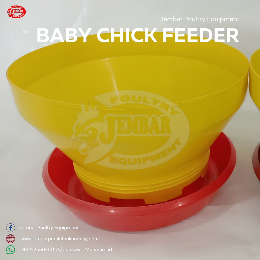 Baby Chick Feeder (3)