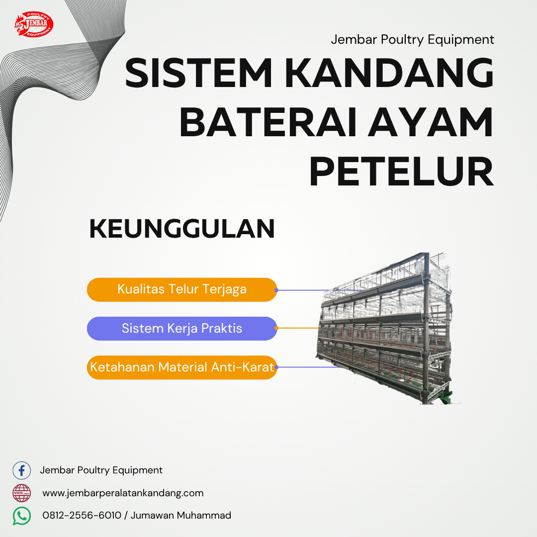 Sistem Kandang Baterai Ayam Petelur