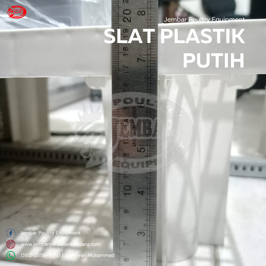 Slat Plastik putih (3)