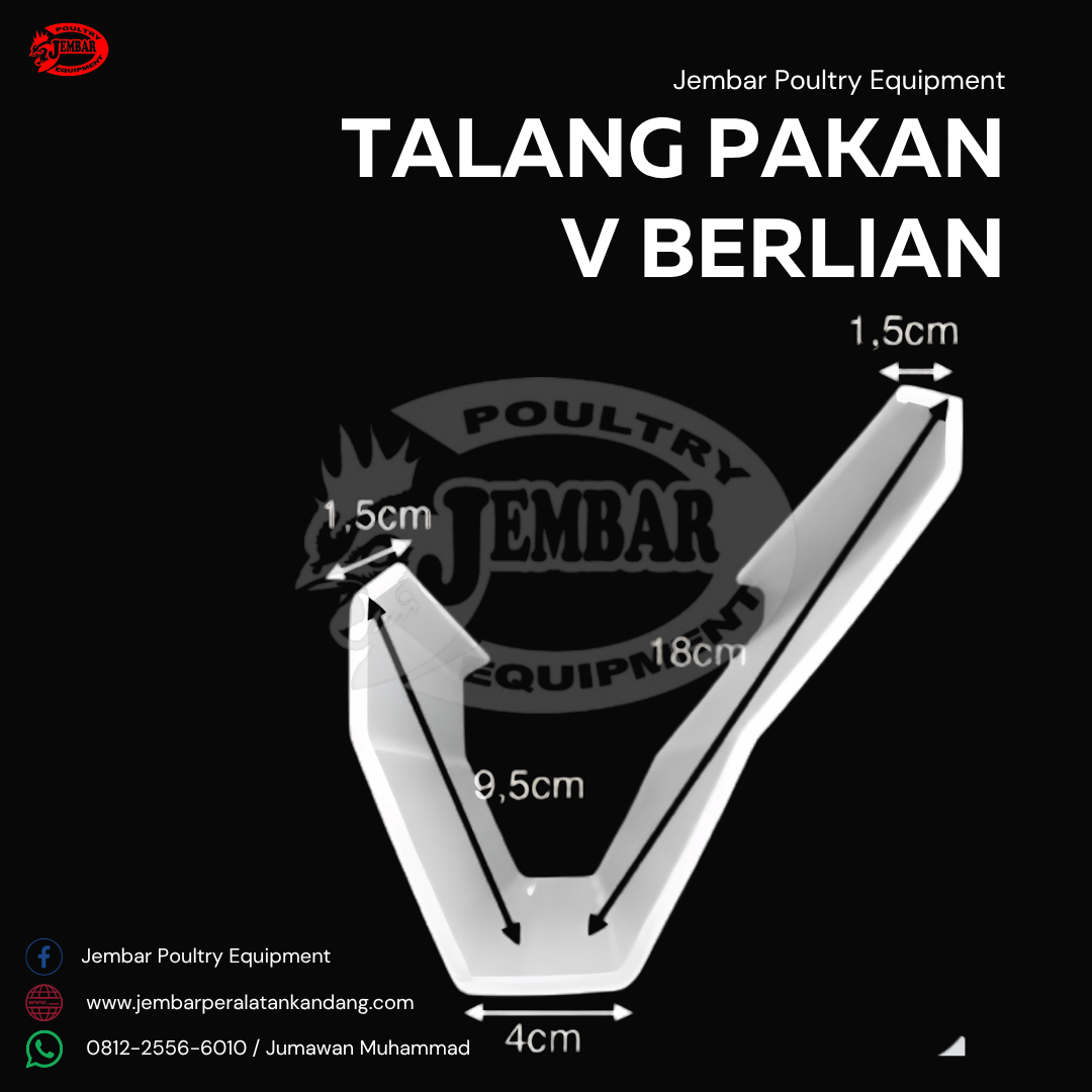 Talang Pakan V Berlian (2)