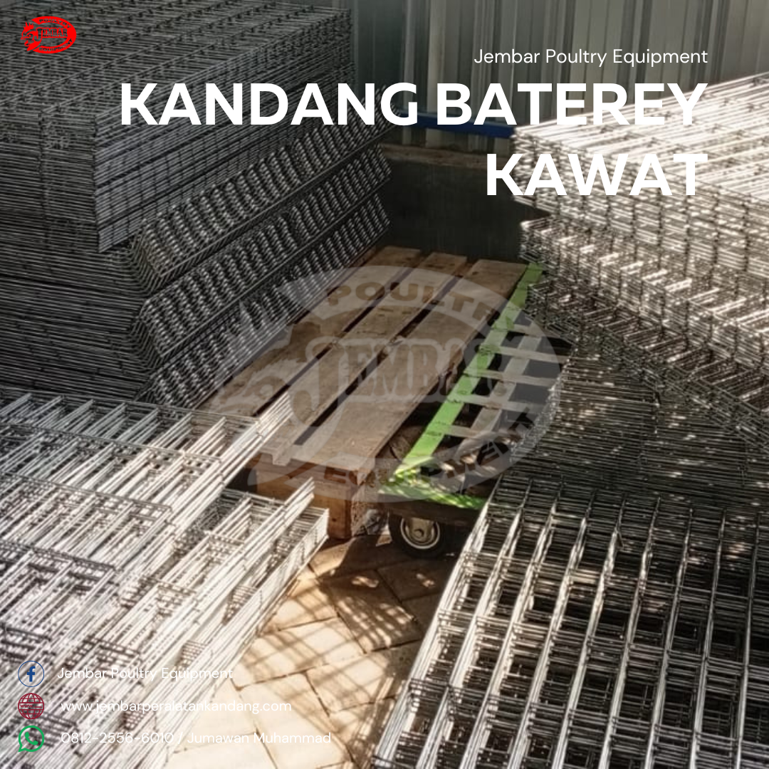 kandang baterey kawat (5)