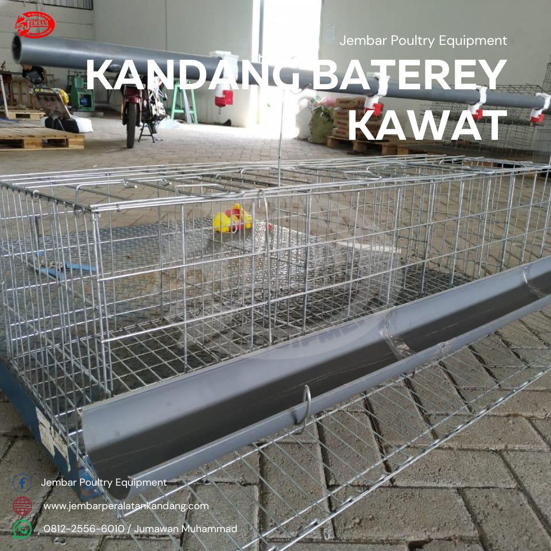 kandang baterey kawat