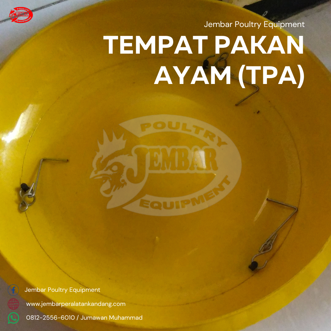 tempat pakan ayam (tpa) (2)