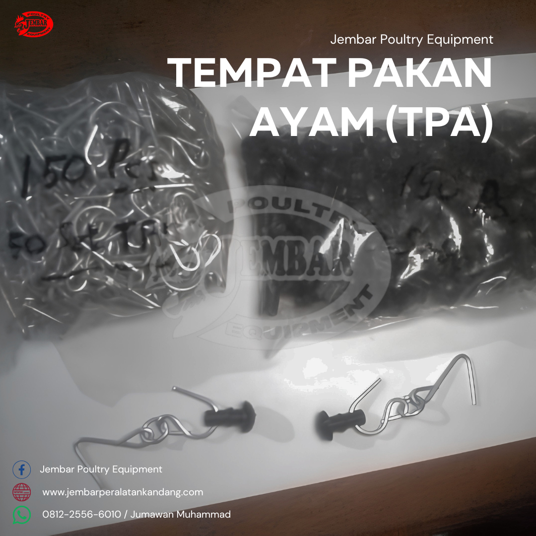 tempat pakan ayam (tpa) (3)