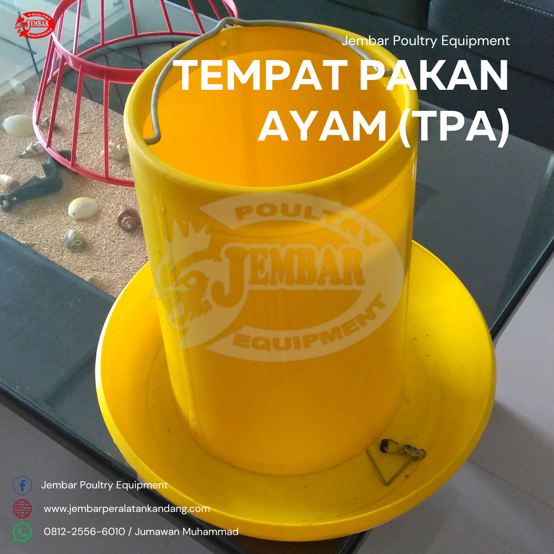 tempat pakan ayam (tpa) (4)