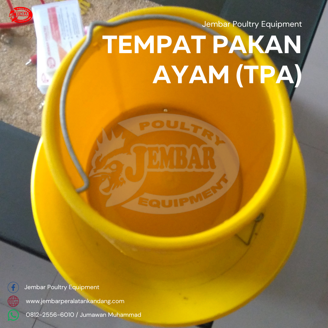 tempat pakan ayam (tpa) (5)