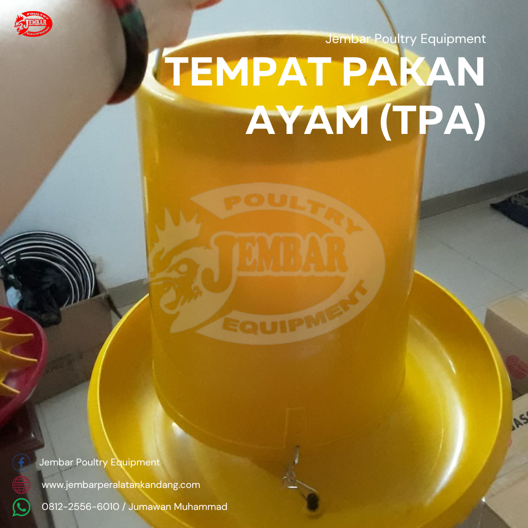 tempat pakan ayam (tpa) (6)