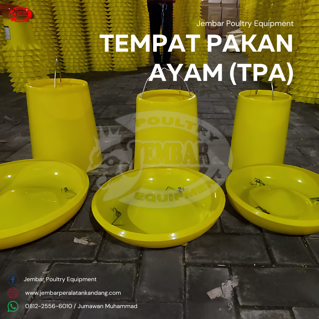 tempat pakan ayam (tpa) (7)