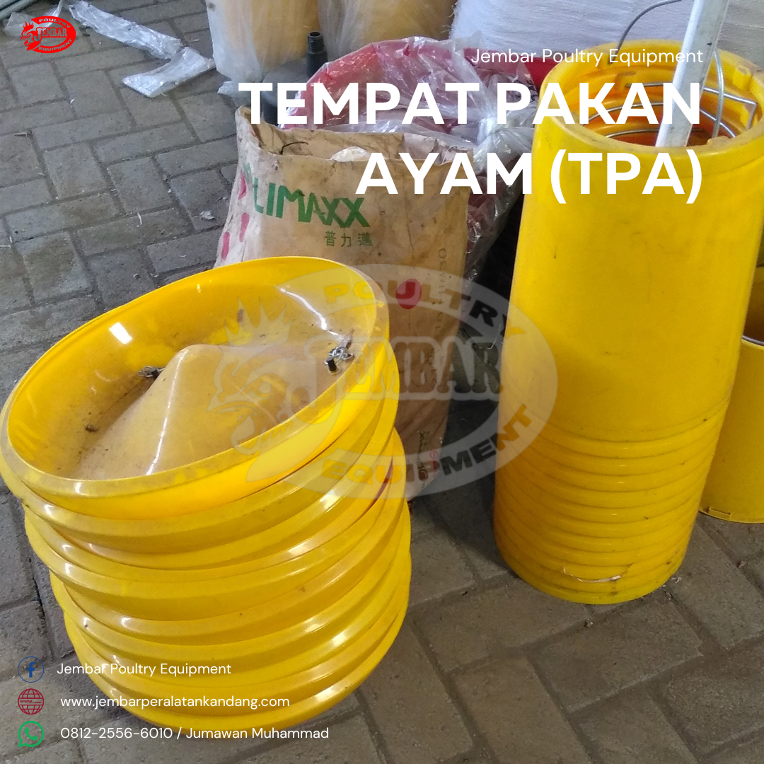 tempat pakan ayam (tpa) (8)